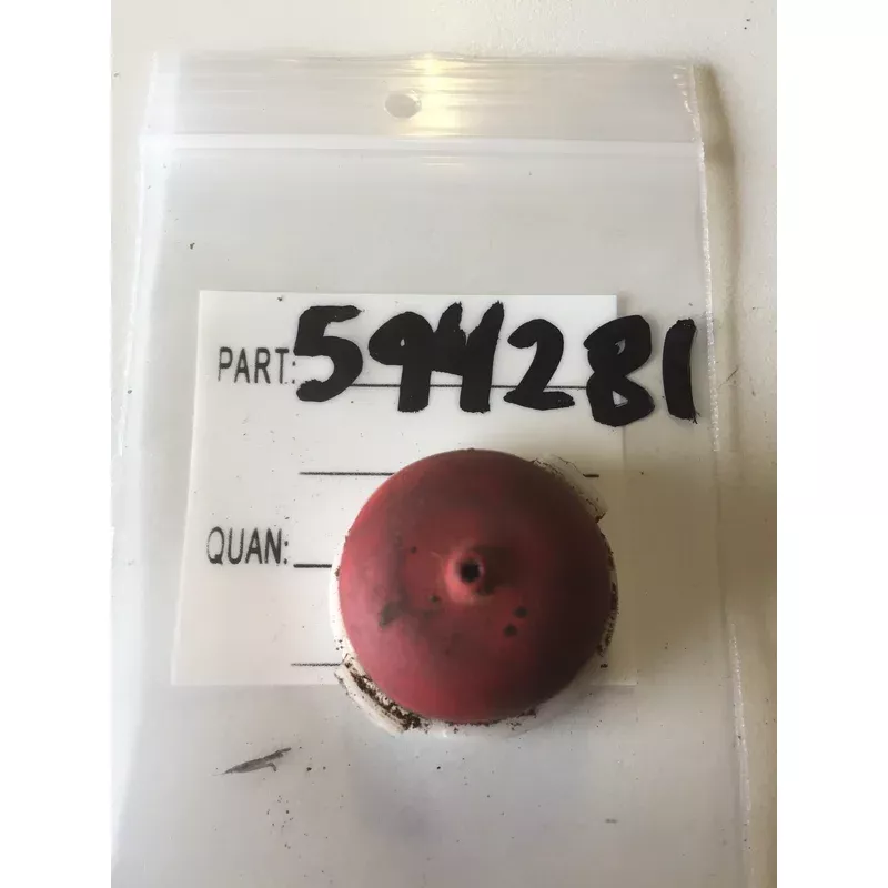 594281 PRIMER Briggs & Stratton Big / Large *USED*