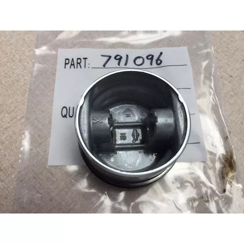791096 Piston with Rings Std. *USED* Briggs & Stratton.