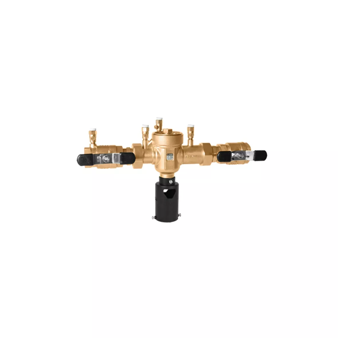 Caleffi 574900A Backflow Preventer 2 Inch NPT Brass