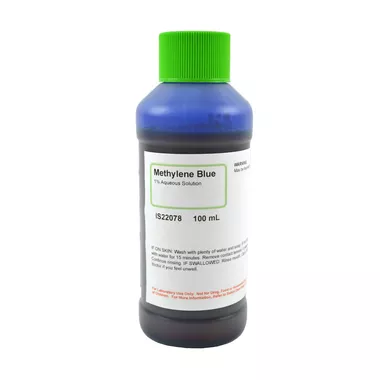 Methylene Blue Solution, 1%, Aqueous, 100 mL
