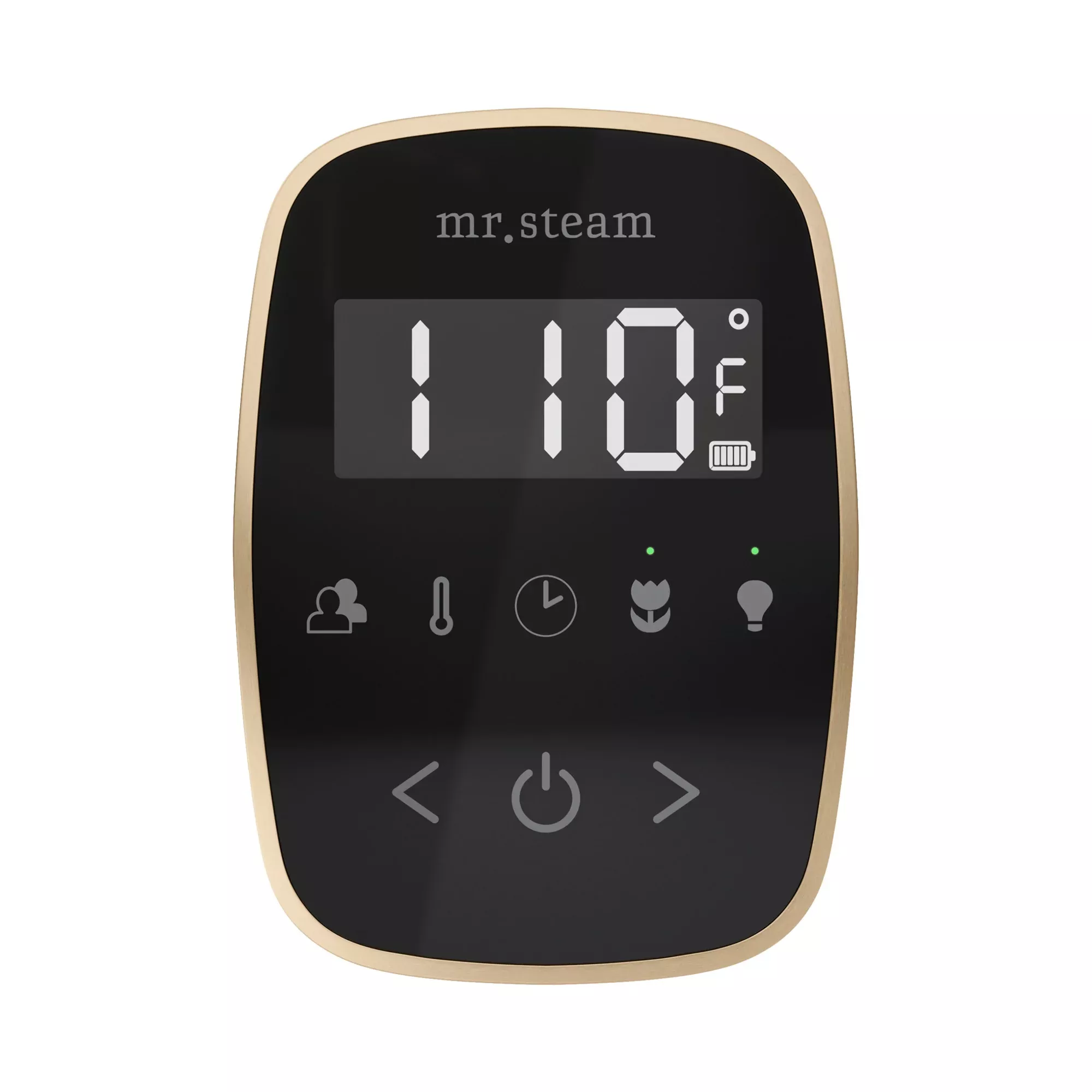 Mr. Steam TempoFlex Steam Shower Control and Steamhead