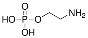 O-Phosphorylethanolamine Crystalline, 100 grams