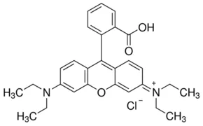 Rhodamine B 95% HPLC 500 gram