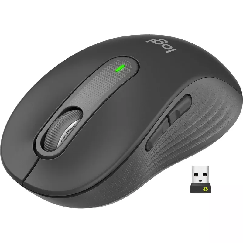 Signature M650 L Wireless Mouse in Graphite