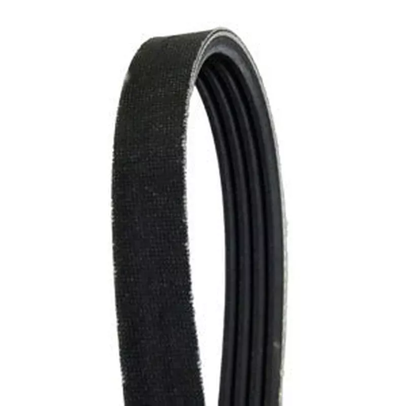 Walker 7248 Drive Belt Replacement | WA7248