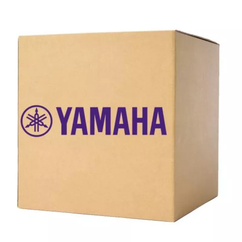 Yamaha ZM209700